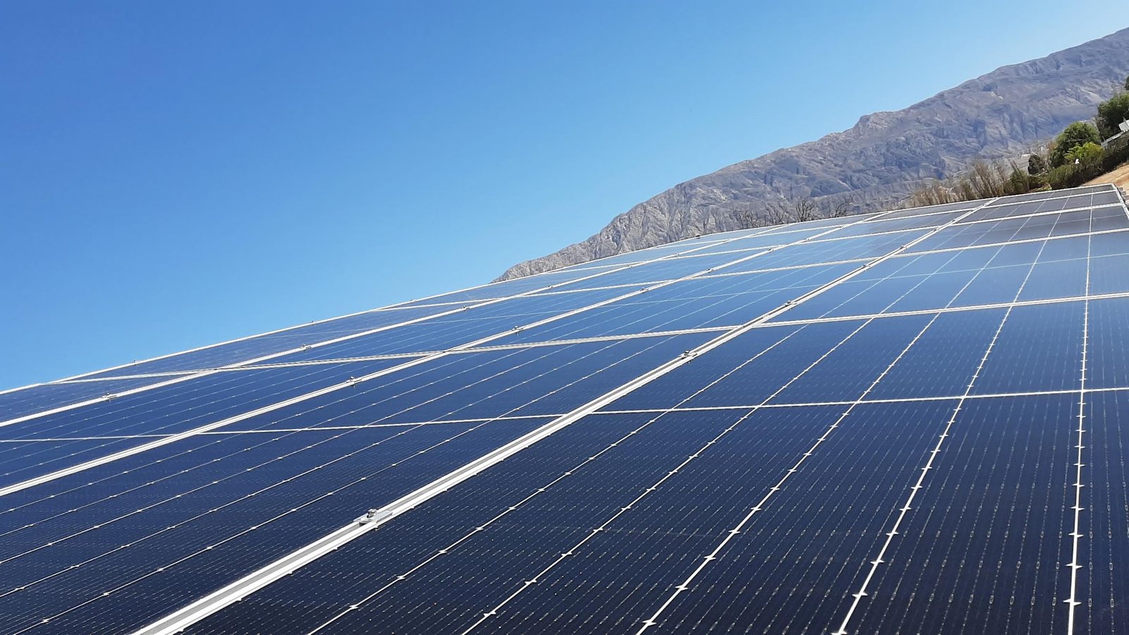 Finca Roberto Cordero 1